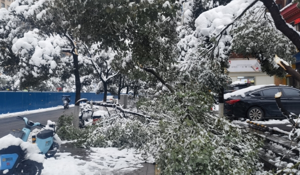 抗擊冰雪，他們在行動